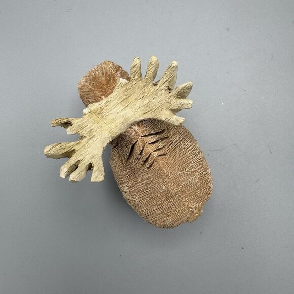 Vtg Artesania Rinconada Moose Figurine Uruguay Retired Wildlife 4" READ As is - Picture 14 of 15